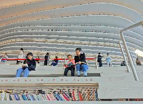 Binhai New Area Library in Tianjin