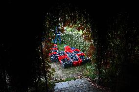 Clos Montmartre Grape Harvest - Paris