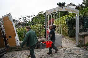 Clos Montmartre Grape Harvest - Paris