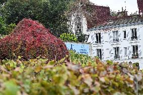 Clos Montmartre Grape Harvest - Paris