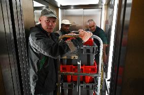 Clos Montmartre Grape Harvest - Paris