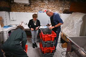 Clos Montmartre Grape Harvest - Paris