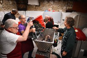 Clos Montmartre Grape Harvest - Paris