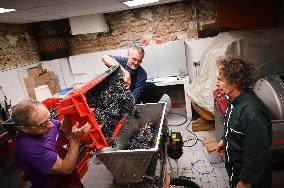 Clos Montmartre Grape Harvest - Paris