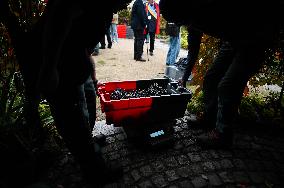 Clos Montmartre Grape Harvest - Paris