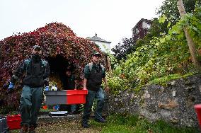 Clos Montmartre Grape Harvest - Paris