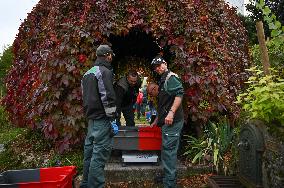 Clos Montmartre Grape Harvest - Paris