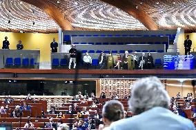 Julian Assange At Council Of Europe - Strasbourg