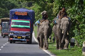 Daily Life In India