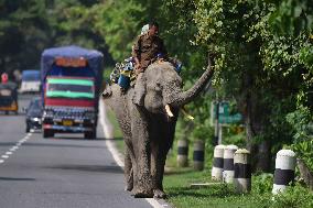 Daily Life In India