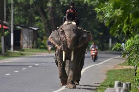 Daily Life In India