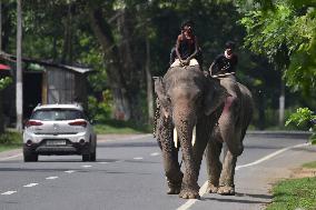 Daily Life In India