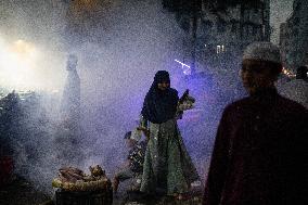 Mosquito Repellent Being Sprayed To Kill Mosquitoes