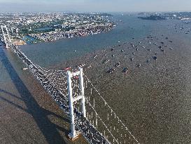 Pearl River Estuary Scenery - China