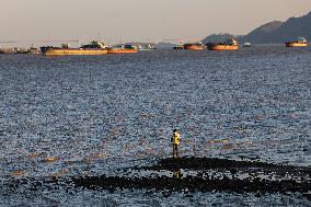 Pearl River Estuary Scenery - China