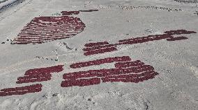 Farmers Dry Chili Peppers in the Gobi Desert in Hami