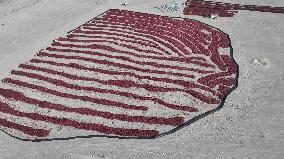 Farmers Dry Chili Peppers in the Gobi Desert in Hami