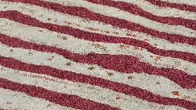 Farmers Dry Chili Peppers in the Gobi Desert in Hami