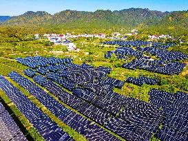 Integration of Agriculture And Photovoltaic Industry