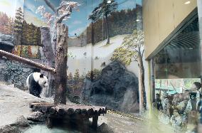 An Animal Theme Park in Chongqing