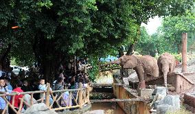 An Animal Theme Park in Chongqing