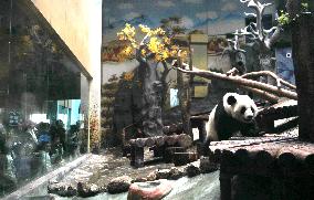 An Animal Theme Park in Chongqing