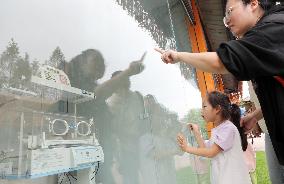 An Animal Theme Park in Chongqing