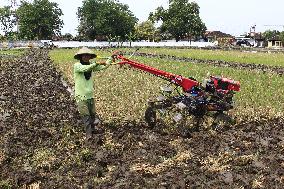 Indonesia Agriculture