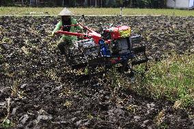 Indonesia Agriculture