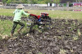 Indonesia Agriculture