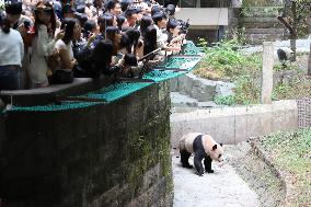 Chongqing Zoo