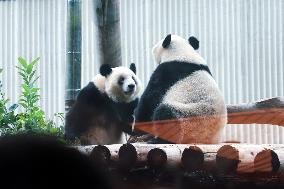 Chongqing Zoo