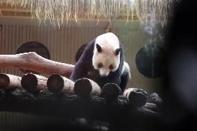 Chongqing Zoo