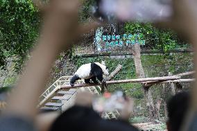 Chongqing Zoo