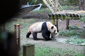 Chongqing Zoo