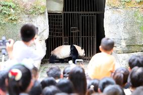 Chongqing Zoo