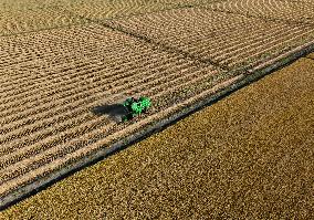 Autumn Harvest - China