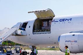 WHO Aid Arrives In Beirut