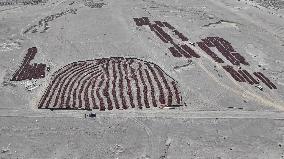 Chili Peppers Dry in Gobi Desert in Hami