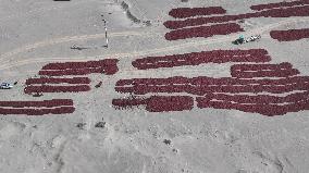 Chili Peppers Dry in Gobi Desert in Hami