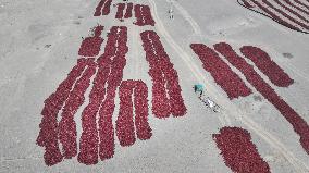 Chili Peppers Dry in Gobi Desert in Hami