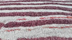 Chili Peppers Dry in Gobi Desert in Hami