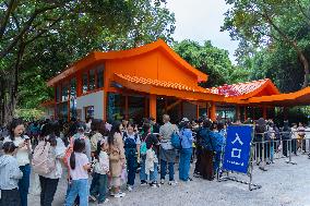 Panda Economy in Chongqing