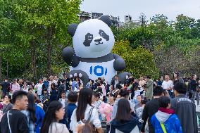 Panda Economy in Chongqing