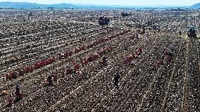 Farmers Harvest Potatoes in Inner Mongolia