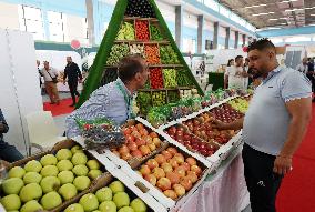 National Fruit And Vegetable Exhibition In Algeria