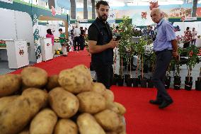 National Fruit And Vegetable Exhibition In Algeria