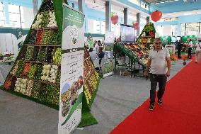 National Fruit And Vegetable Exhibition In Algeria