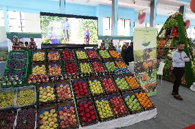 National Fruit And Vegetable Exhibition In Algeria