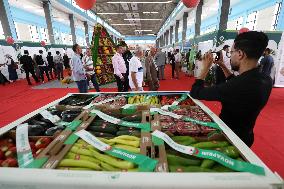 National Fruit And Vegetable Exhibition In Algeria